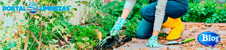 La importancia de cuidar tu jardín en los meses de frío