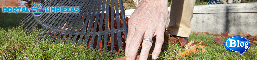 limpieza de jardines
