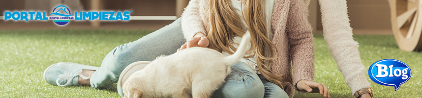 consejos de limpieza con mascotasconsejos de limpieza con mascotas